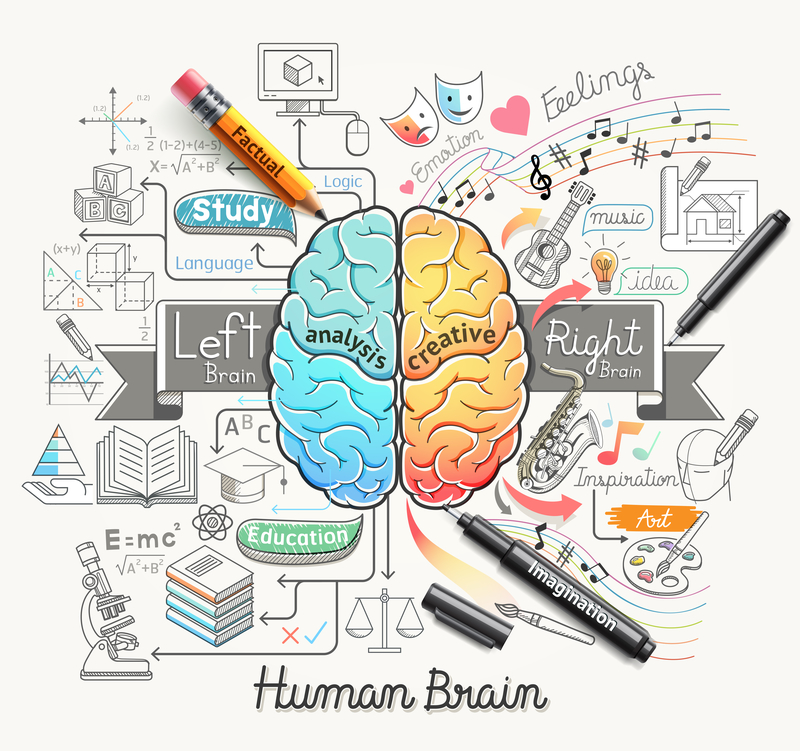 BRAIN HEALTH - Harvest Health Foods