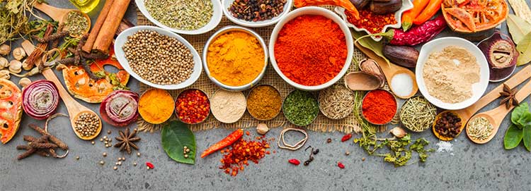 Solving the Metabolism Mystery