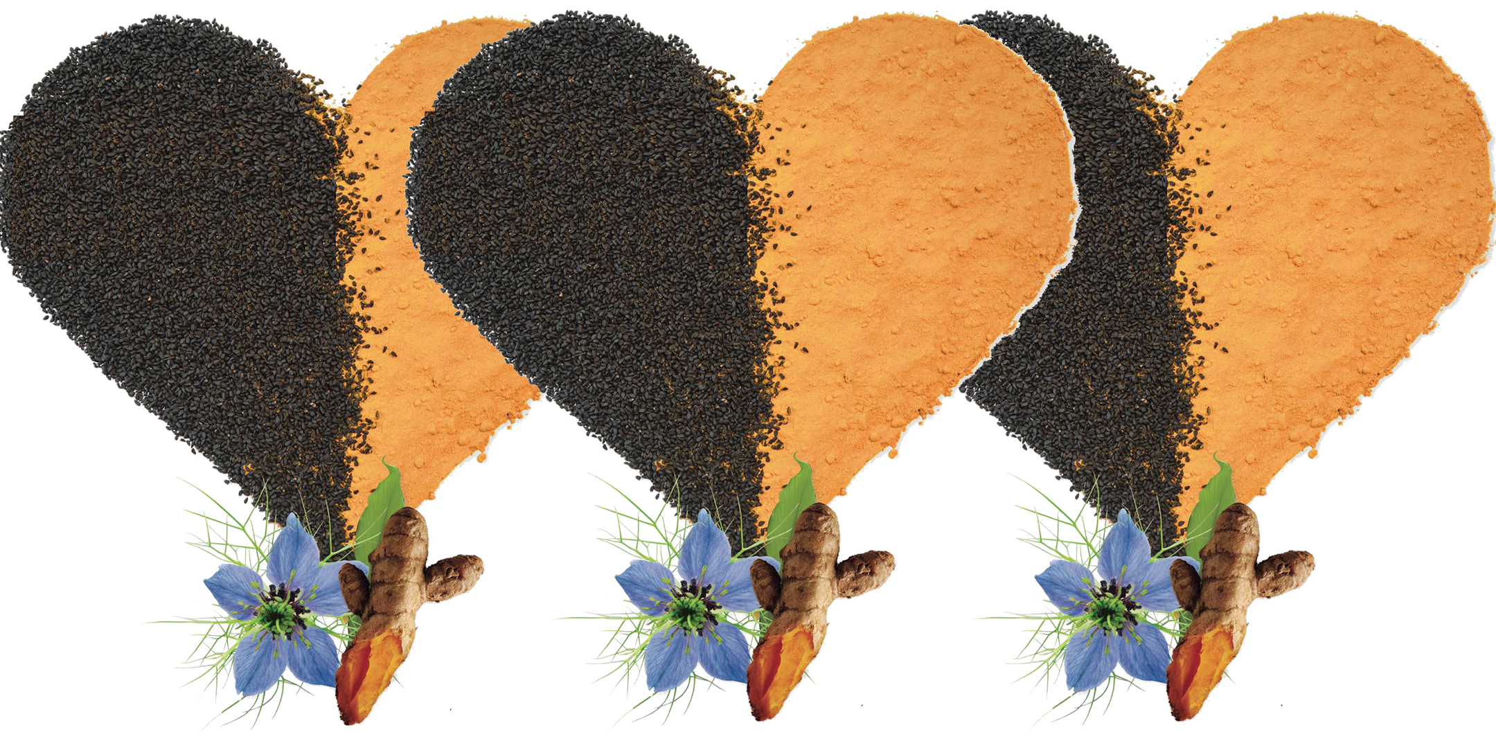 The New Power Couple of Herbals at Harvest Health Foods