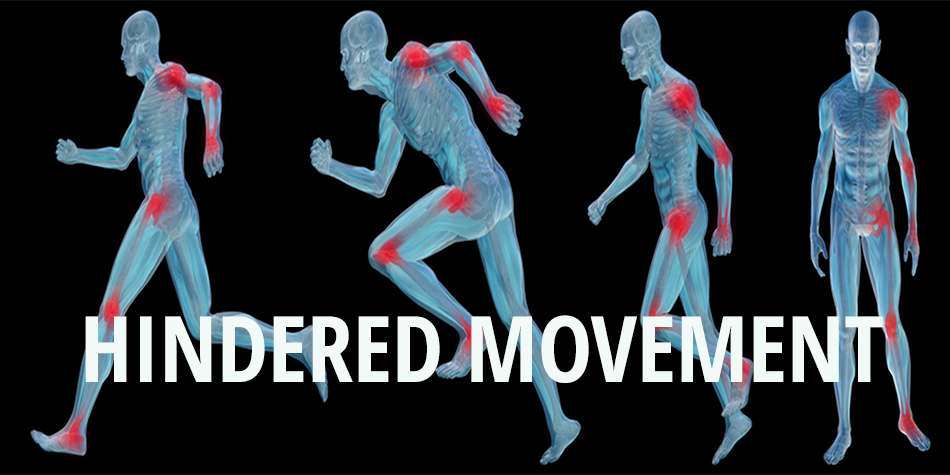 Hindered Movement - Sally Talbot PT | Harvest Health Foods