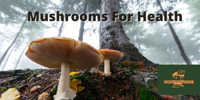 Mushrooms For Health